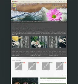 Saunaöle, Saunaaufgüsse, Badesalze, Aufguss, Spa, Massage, Beautyprodukte