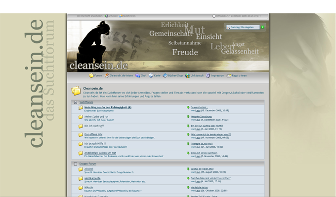 cleansein