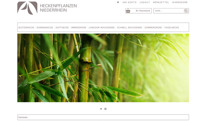 heckenpflanzen